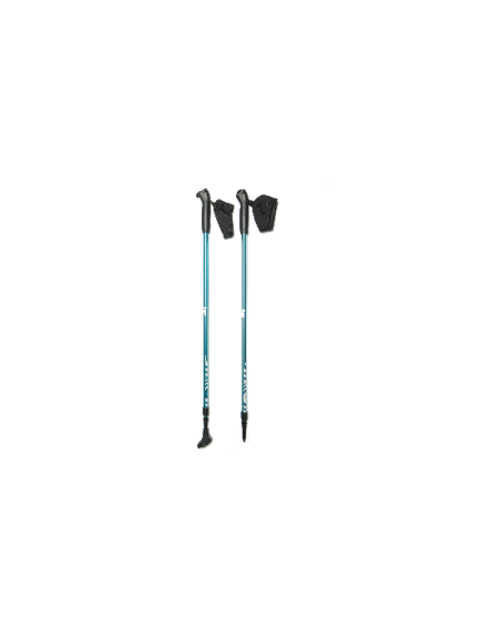 Палки Valkyrie Blue для скандинавской ходьбы Палки Valkyrie Blue для скандинавской ходьбы