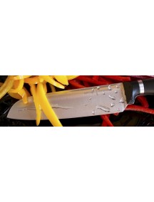 Нож кухонный Opinel №219 VRI Intempora Santoku универсальный
